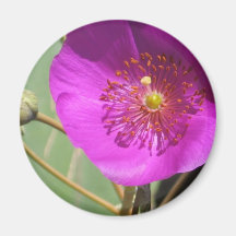 Roze wildflower koelkast magneten