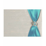 Ruban bleu de satin de Tiffany avec la copie de bi T-shirts