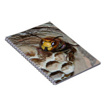 RUCHE CARNETS