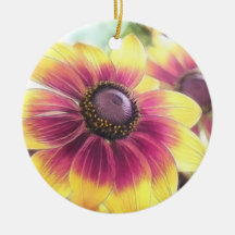 Rudbeckias bij Dageraad Ornamenten
