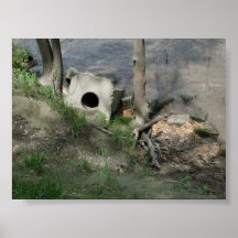 Ruines de barrage de rivière de cuillère posters