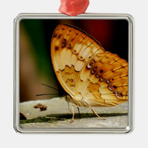 Rustieke Borstel Betaalde Vlinder Ornamenten