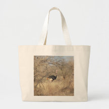 Sac d'autruche, collection africaine de safari