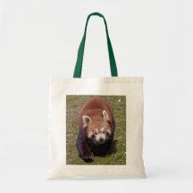 Sac de bandit