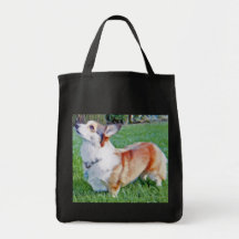 Sac de champion