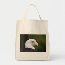 Sac d'épicerie vert allant d'Eagle d'Américain