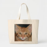Sac fourre-tout tigré orange à chaton