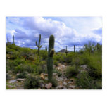 Saguaro <Add Your Own Text> Carte Postale
