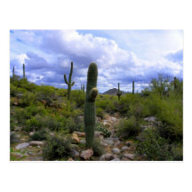 Saguaro <Add Your Own Text> Carte Postale