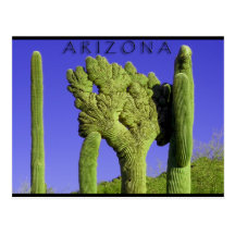 Saguaro crêté dans le congrès, Arizona Carte Postale