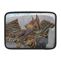 Salon de dobermann poche macbook
