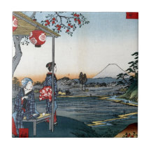 Salon de thé japonais fin de Fujimi d'art Carreaux