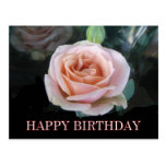 Salutations d'anniversaire de rose de rose cartes postales