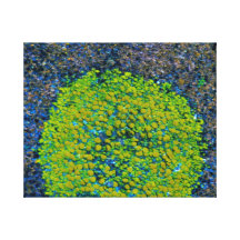 Samenvatting Stretched Canvas Prints