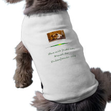 Sans moi… manteaux pour chien