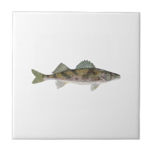 Sauger Carreau En Céramique