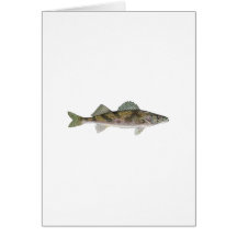 Sauger Wenskaarten