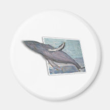 saut_baleine aimant