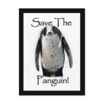 Sauvez le Panguin ! Cartes Postales