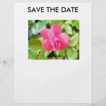 "SAUVEZ L'INSECTE DE ROSE ROUGE DE DATE" PROSPECTUS CUSTOMISÉ