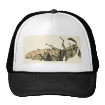 Scarabée de clic casquette