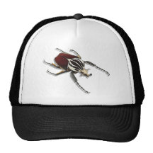 Scarabée de coutil casquette