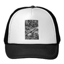 Scarabées Casquettes De Camionneur