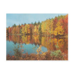 Scène vintage d'automne