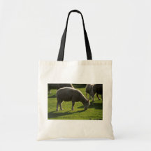 Schapen Canvas Tassen