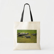 Schapen Tas