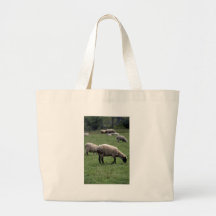 Schapen Tassen