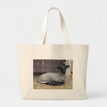 schapen tassen