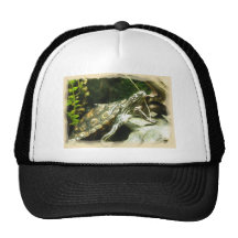 Schildpad in Motie Mesh Pet