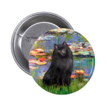 Schipperke 2 - Lis 2 Pin's Avec Agrafe