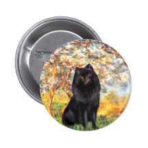 Schipperke 2 - Ressort Badge