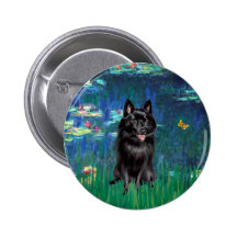 Schipperke 4 - Lis 5 Badges Avec Agrafe