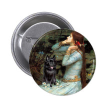 Schipperke 4 - Ophélie a assis Pin's