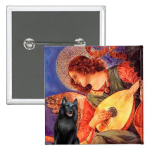 Schipperke 5 - Ange de mandoline Badges Avec Agrafe