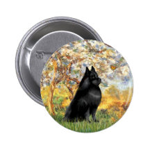 Schipperke 6 - Ressort Badge