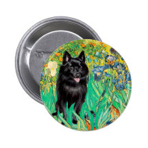 Schipperke 7 - Iris Pin's