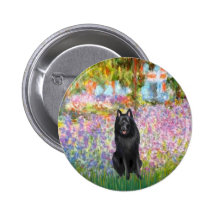 Schipperke 7 - Jardin Badge Avec Épingle