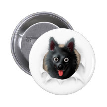 Schipperke éclatant badges avec agrafe
