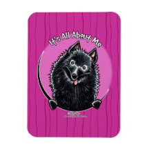 Schipperke IAAM Magnet En Vinyle