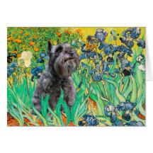 Schnauzer 12 - Iris Carte De Vœux