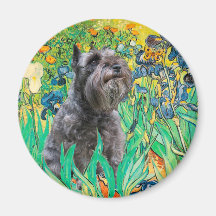 Schnauzer 12 - Iris Magnets Pour Réfrigérateur