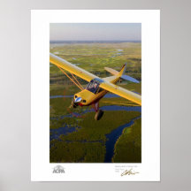 Schor met een Zilveren Galerij van de Staart Print