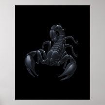 Schorpioen Posters