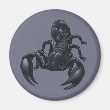 Scorpion Aimant