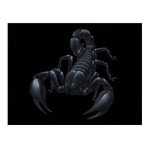 Scorpion Carte Postale