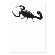 Scorpion Modèle De Carte De Visite